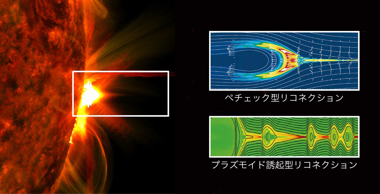 図5：太陽フレアはコロナ中に蓄積された磁気エネルギーが、向きの異なる磁力線同士がつなぎ替わる「磁気リコネクション」と呼ばれるプロセスによって、突発的に解放されることで生じると考えられています